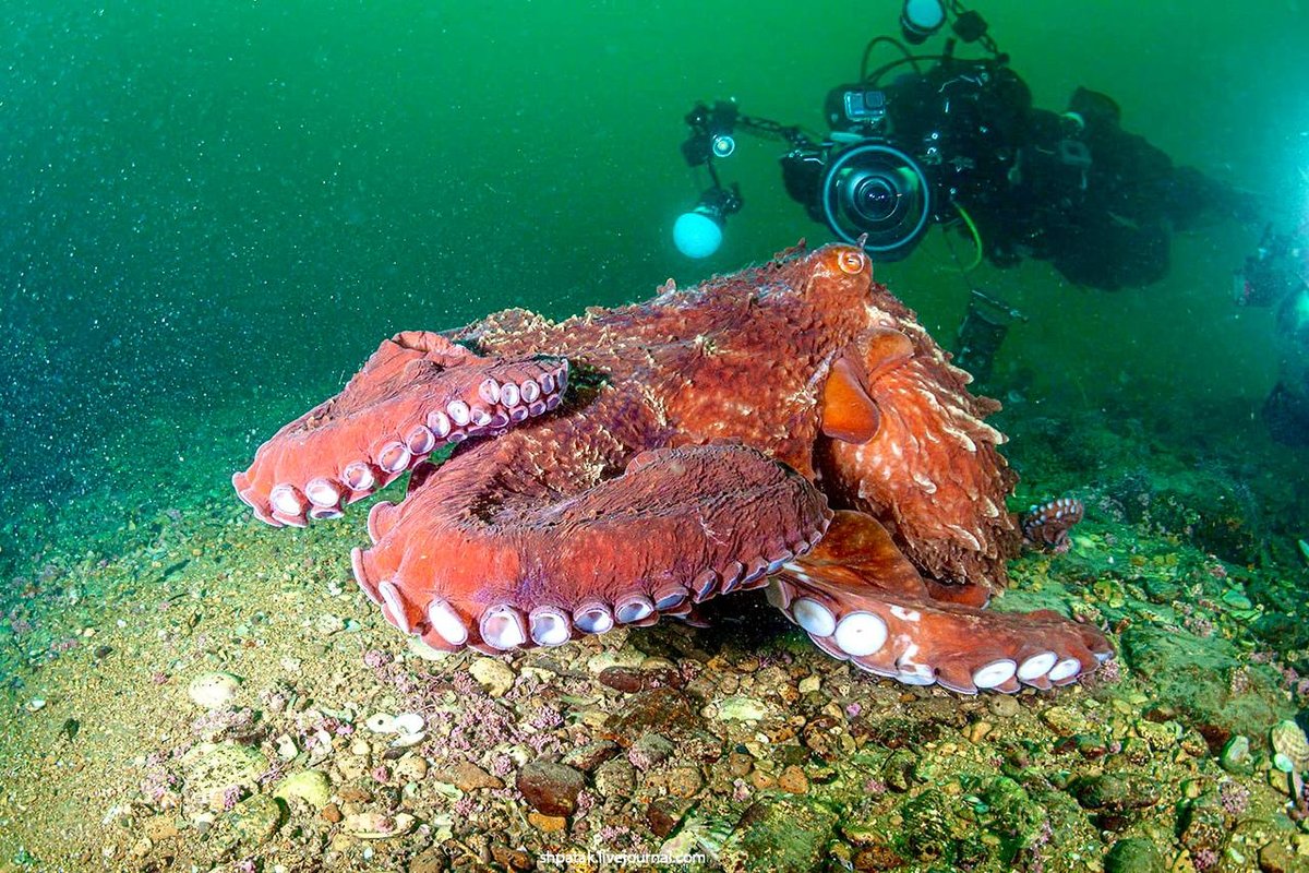 СМИ о нас: Как бизнесу выбрать амбассадора