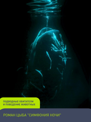 Фотоконкурс (2)